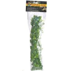 Rost.ter.ZMD Amazonian Phyllo L Rost.ter.ZMD Amazonian Phyllo L