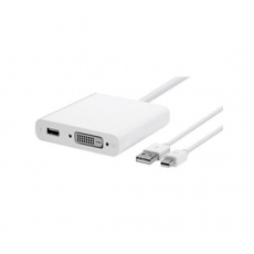 APPLE Adapter Mini DisplayPort - Dual Link DVI APPLE Adapter Mini DisplayPort - Dual Link DVI