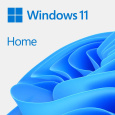 Windows Home 11 64-BIT ESD